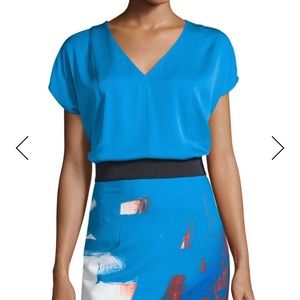 Milly V-Neck Dolman Sleeve Top Aqua